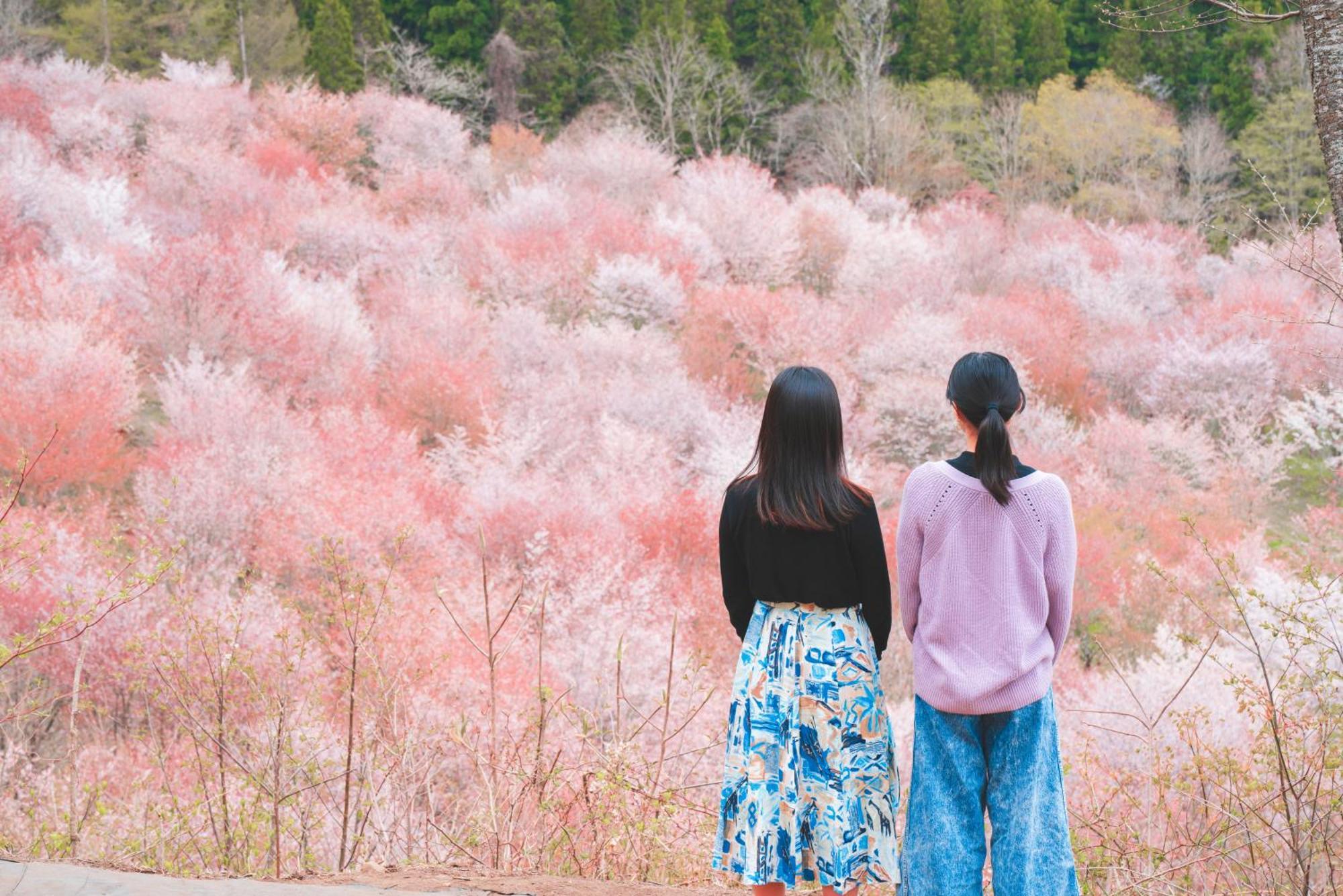 Urabandai Lake Resort Geihinkan Nekoma Rikyu Kitashiobara Dış mekan fotoğraf
