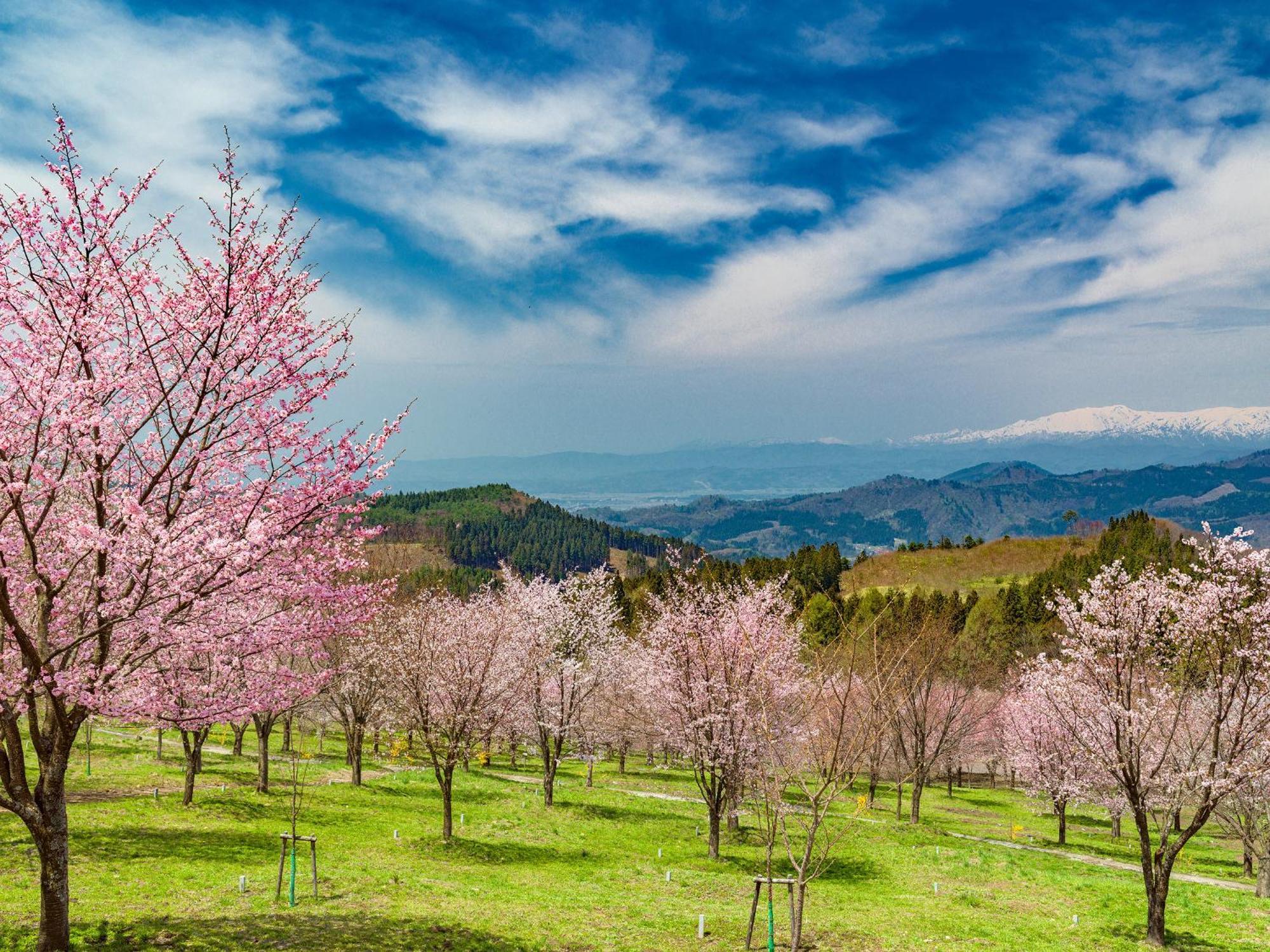 Urabandai Lake Resort Geihinkan Nekoma Rikyu Kitashiobara Dış mekan fotoğraf