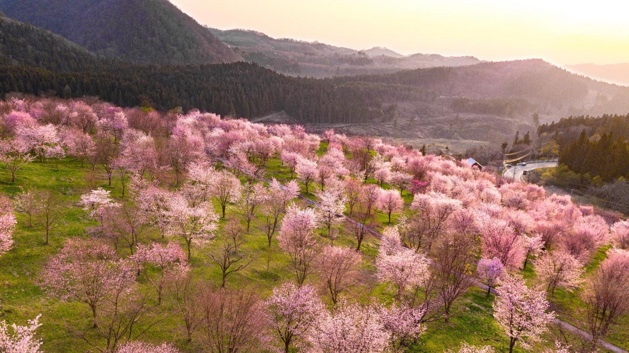 Urabandai Lake Resort Geihinkan Nekoma Rikyu Kitashiobara Dış mekan fotoğraf